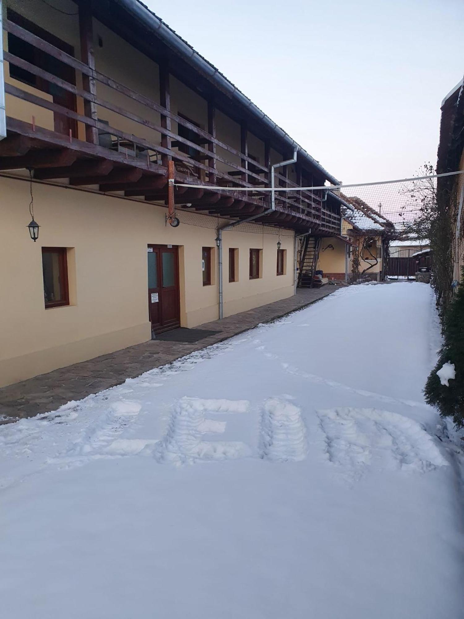 Pensiunea Leia Кырцишоара Экстерьер фото